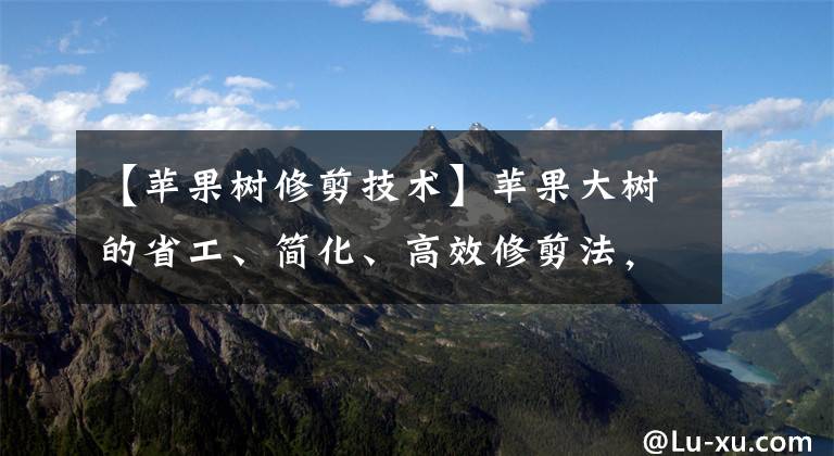 【苹果树修剪技术】苹果大树的省工、简化、高效修剪法，太简单了