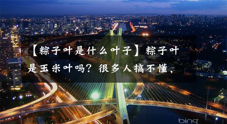 【粽子叶是什么叶子】粽子叶是玉米叶吗？很多人搞不懂，看完后明白了，原来差别这么大