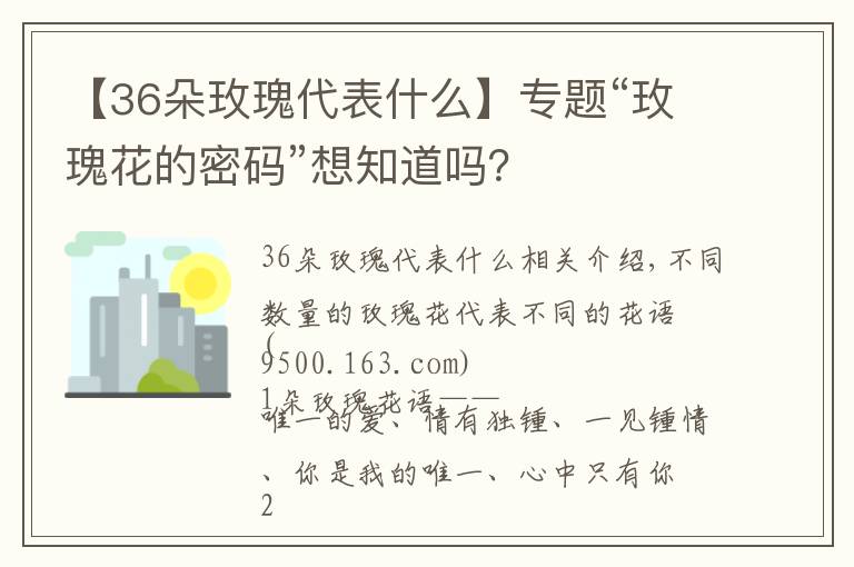 【36朵玫瑰代表什么】专题“玫瑰花的密码”想知道吗？