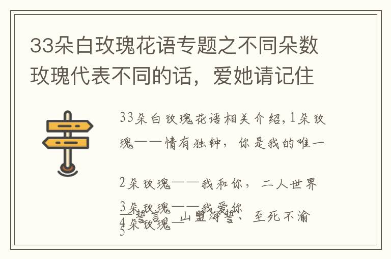 33朵白玫瑰花语专题之不同朵数玫瑰代表不同的话，爱她请记住