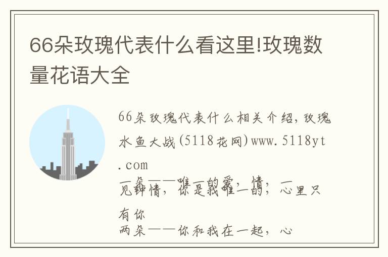 66朵玫瑰代表什么看这里!玫瑰数量花语大全