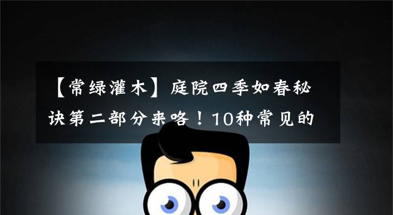 【常绿灌木】庭院四季如春秘诀第二部分来咯！10种常见的常绿灌木你都知道吗？