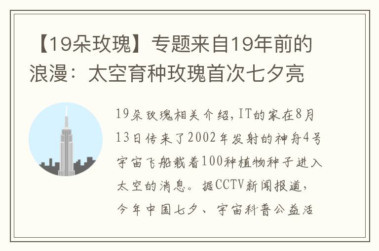 【19朵玫瑰】专题来自19年前的浪漫：太空育种玫瑰首次七夕亮相