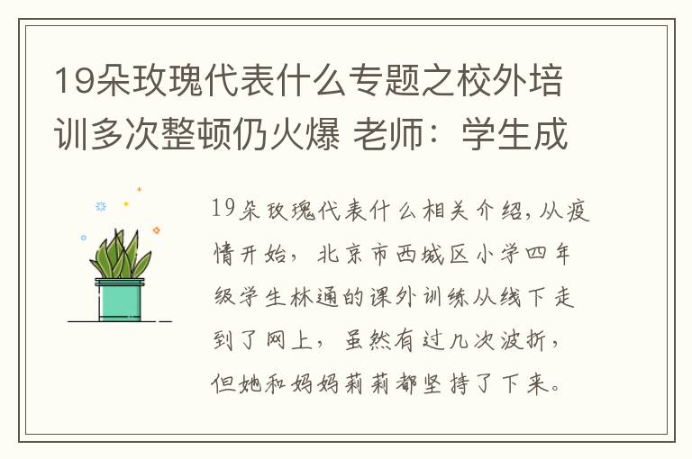 19朵玫瑰代表什么专题之校外培训多次整顿仍火爆 老师：学生成长除了知识还要留白