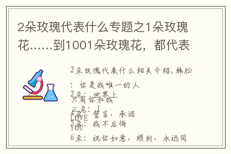 2朵玫瑰代表什么专题之1朵玫瑰花……到1001朵玫瑰花，都代表什么，你知道吗？