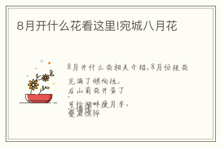 8月开什么花看这里!宛城八月花