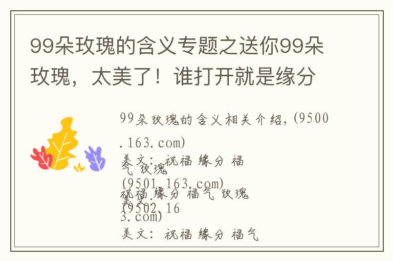 99朵玫瑰的含义专题之送你99朵玫瑰，太美了！谁打开就是缘分，就是祝福！