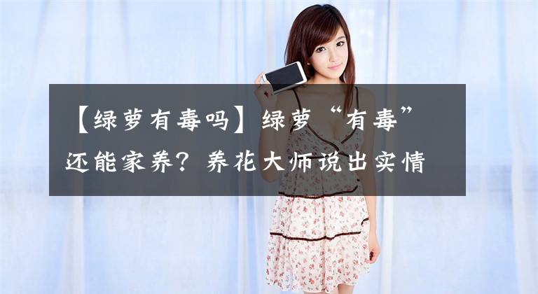 【绿萝有毒吗】绿萝“有毒”还能家养？养花大师说出实情：这都是小事