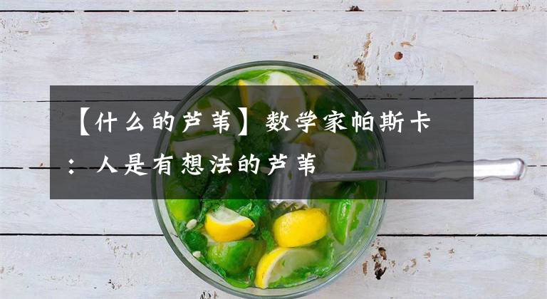 【什么的芦苇】数学家帕斯卡：人是有想法的芦苇