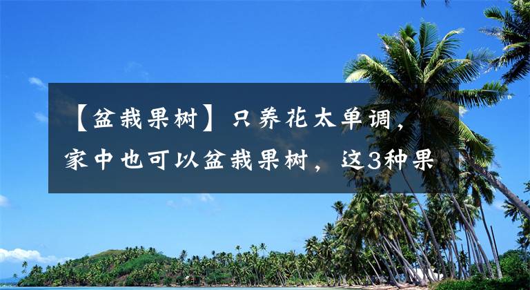 【盆栽果树】只养花太单调，家中也可以盆栽果树，这3种果树，盆栽结果量大