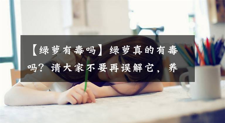 【绿萝有毒吗】绿萝真的有毒吗？请大家不要再误解它，养在家里净化空气不好吗？