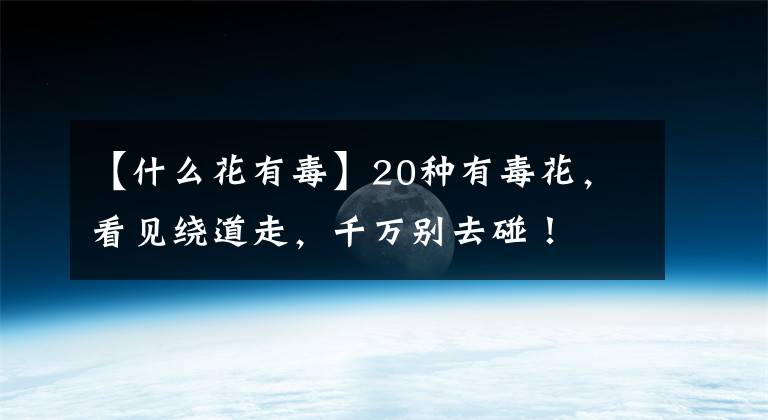 【什么花有毒】20种有毒花，看见绕道走，千万别去碰！