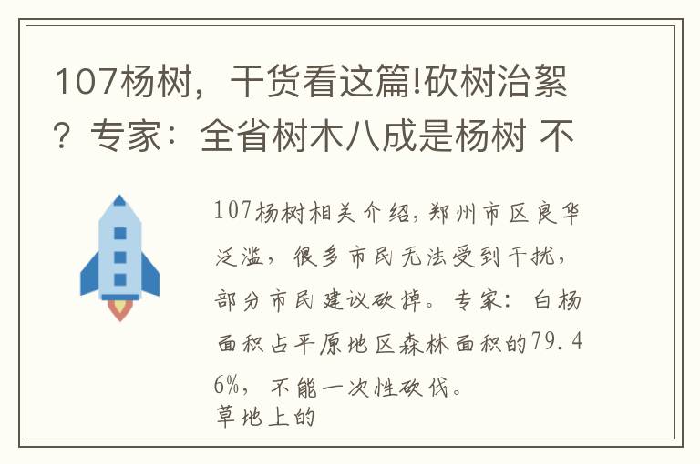 107杨树，干货看这篇!砍树治絮？专家：全省树木八成是杨树 不能贸然砍