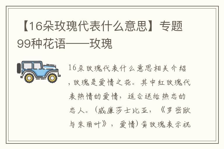 【16朵玫瑰代表什么意思】专题99种花语——玫瑰