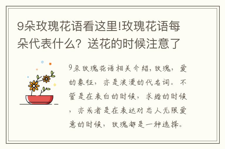 9朵玫瑰花语看这里!玫瑰花语每朵代表什么？送花的时候注意了