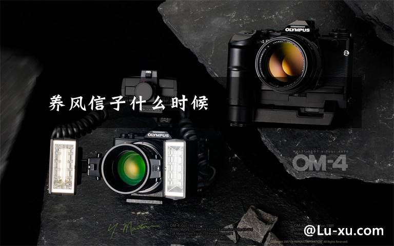 养风信子什么时候