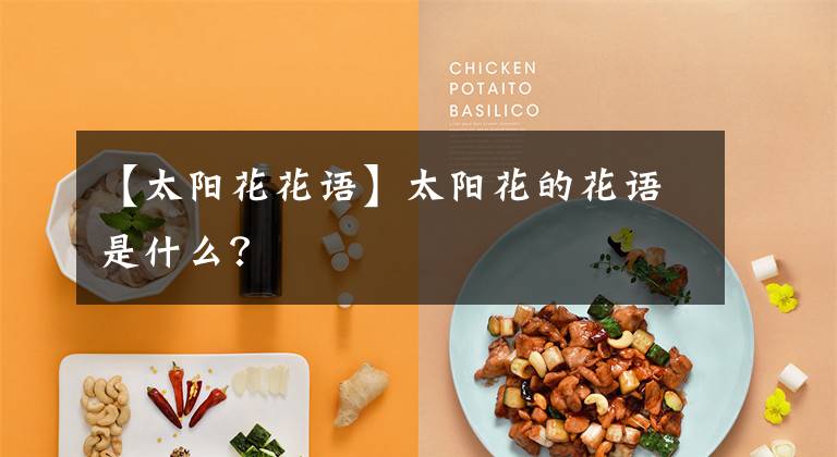 【太阳花花语】太阳花的花语是什么？