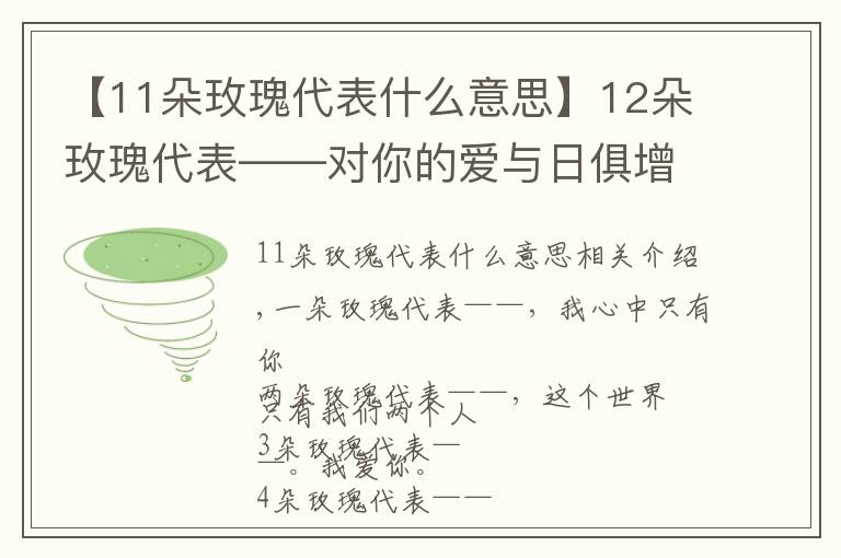 【11朵玫瑰代表什么意思】12朵玫瑰代表——对你的爱与日俱增！