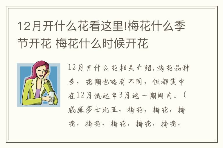 12月开什么花看这里!梅花什么季节开花 梅花什么时候开花