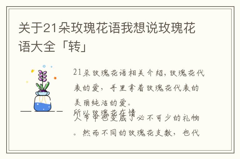 关于21朵玫瑰花语我想说玫瑰花语大全「转」