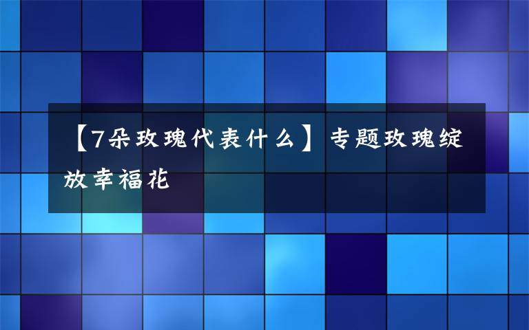 【7朵玫瑰代表什么】专题玫瑰绽放幸福花