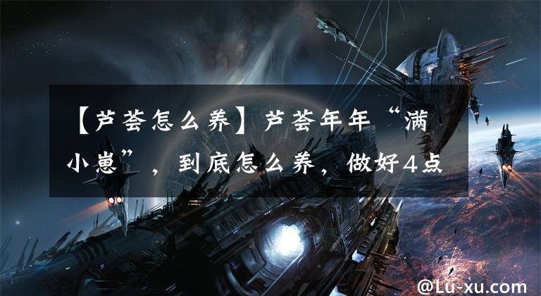 【芦荟怎么养】芦荟年年“满小崽”，到底怎么养，做好4点，爆盆毫无悬念