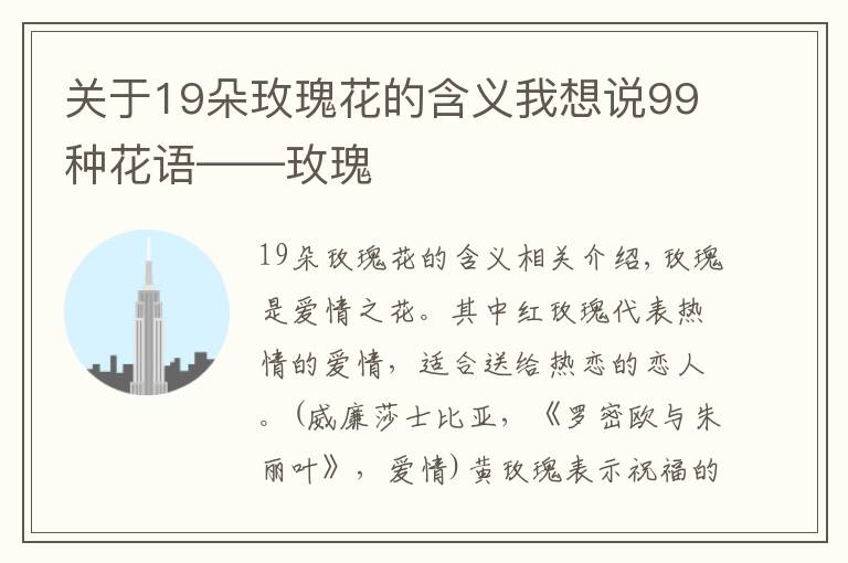 关于19朵玫瑰花的含义我想说99种花语——玫瑰