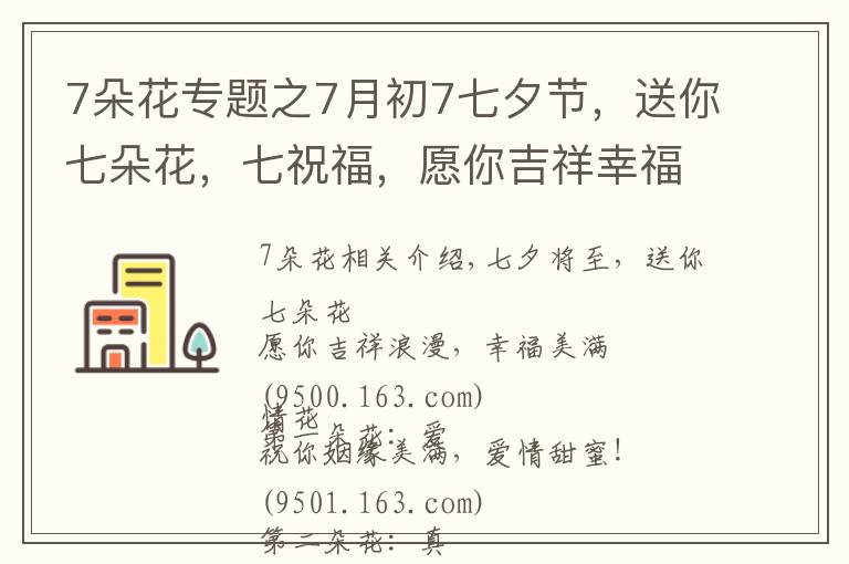 7朵花专题之7月初7七夕节，送你七朵花，七祝福，愿你吉祥幸福！