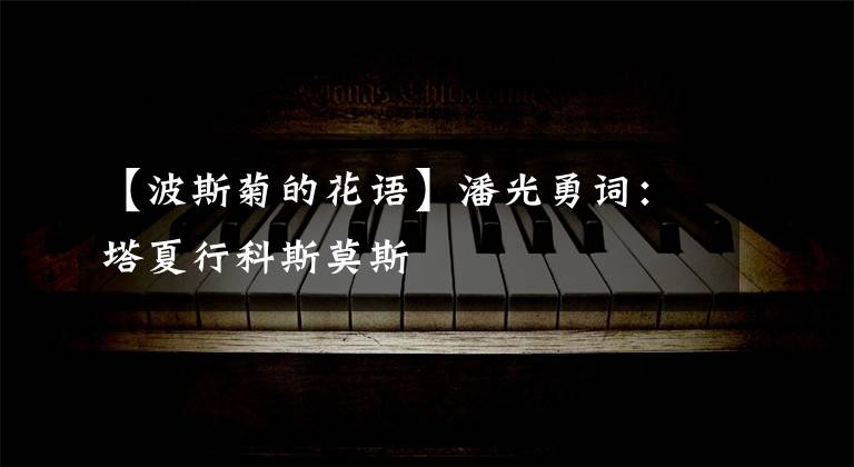 【波斯菊的花语】潘光勇词：塔夏行科斯莫斯