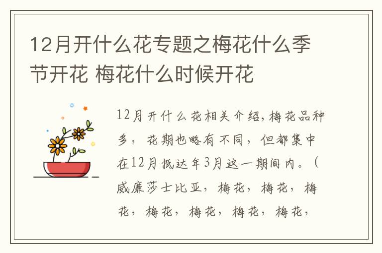 12月开什么花专题之梅花什么季节开花 梅花什么时候开花