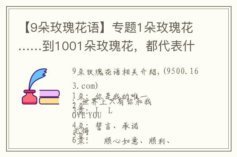 【9朵玫瑰花语】专题1朵玫瑰花……到1001朵玫瑰花，都代表什么，你知道吗？