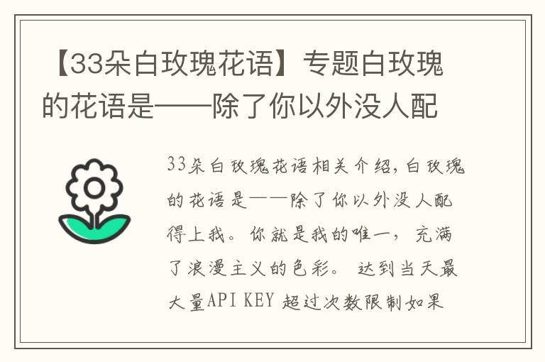 【33朵白玫瑰花语】专题白玫瑰的花语是——除了你以外没人配得上我