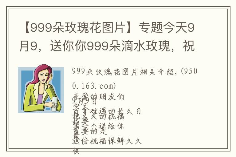 【999朵玫瑰花图片】专题今天9月9，送你你999朵滴水玫瑰，祝你幸福天长地久，早上好