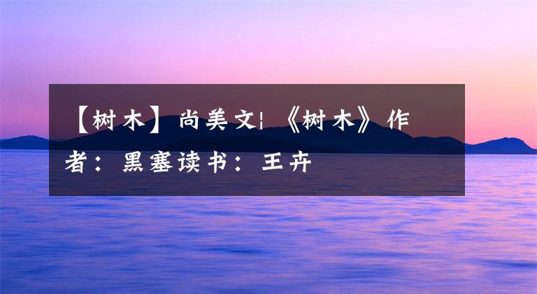 【树木】尚美文| 《树木》作者：黑塞读书：王卉