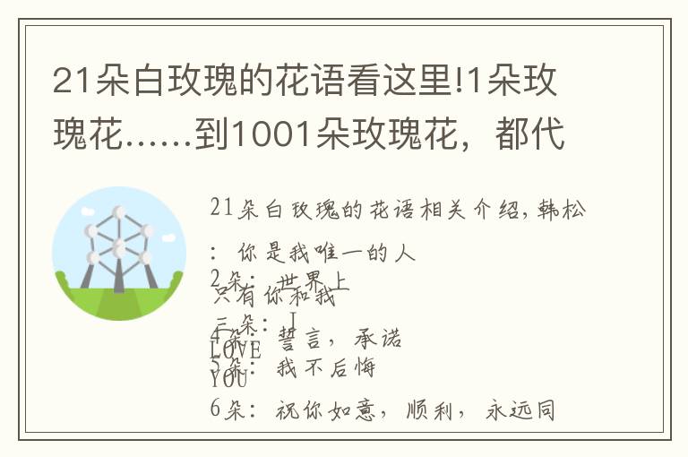 21朵白玫瑰的花语看这里!1朵玫瑰花……到1001朵玫瑰花，都代表什么，你知道吗？