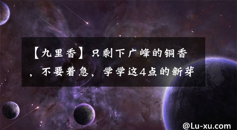 【九里香】只剩下广峰的铜香，不要着急，学学这4点的新芽吧。