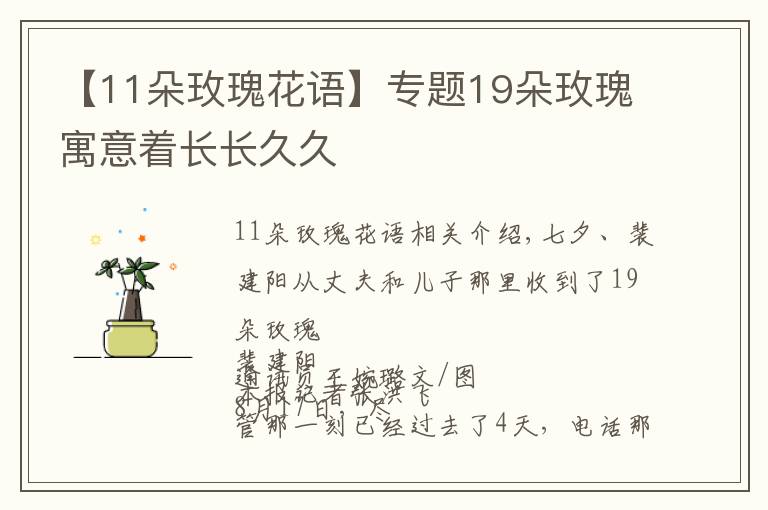 【11朵玫瑰花语】专题19朵玫瑰寓意着长长久久