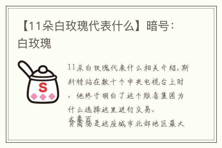 【11朵白玫瑰代表什么】暗号：白玫瑰