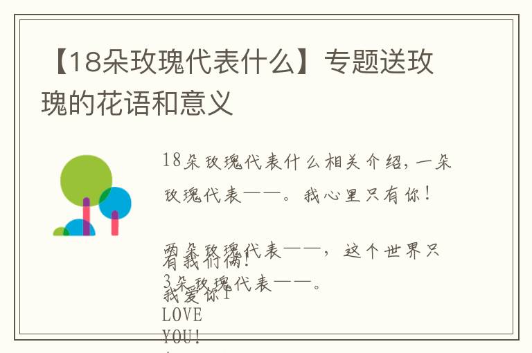 【18朵玫瑰代表什么】专题送玫瑰的花语和意义