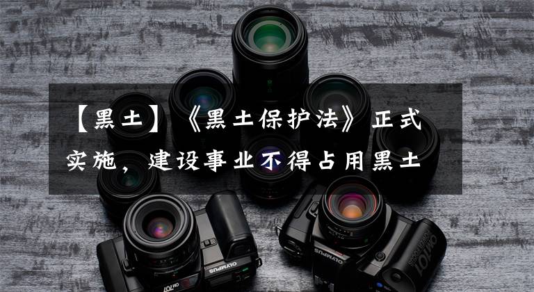 【黑土】《黑土保护法》正式实施，建设事业不得占用黑土耕地。