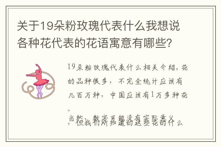 关于19朵粉玫瑰代表什么我想说各种花代表的花语寓意有哪些？您知道多少呢