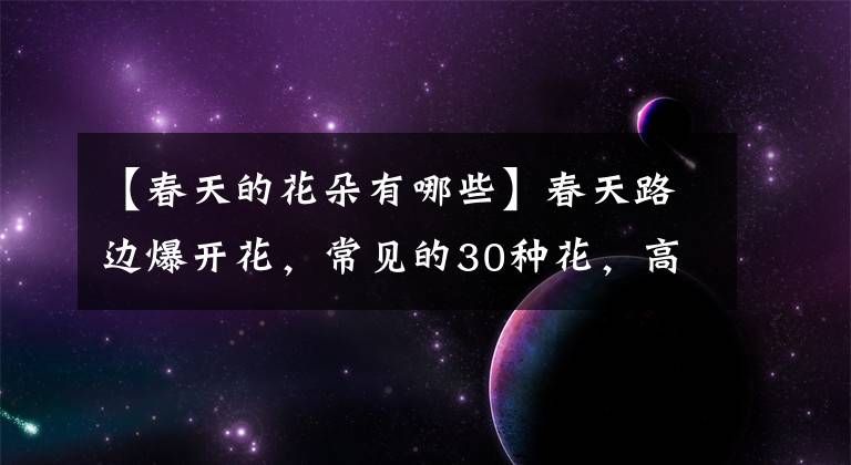 【春天的花朵有哪些】春天路边爆开花，常见的30种花，高手只能认识20种