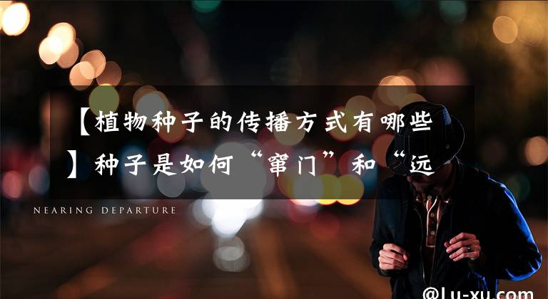 【植物种子的传播方式有哪些】种子是如何“窜门”和“远嫁”的？种子特征决定了传播途径