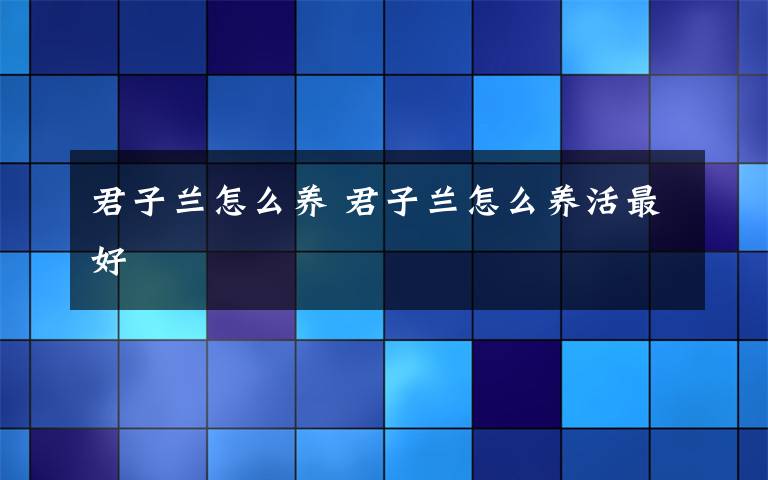 君子兰怎么养 君子兰怎么养活最好