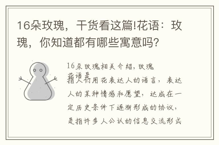 16朵玫瑰，干货看这篇!花语：玫瑰，你知道都有哪些寓意吗？
