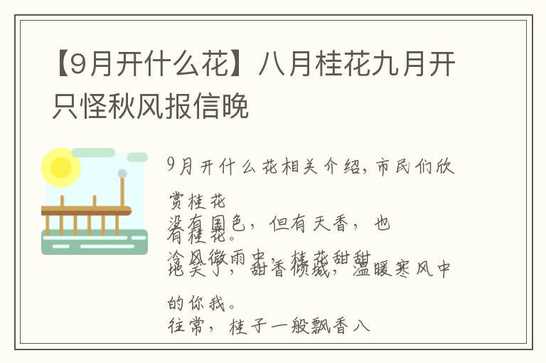 【9月开什么花】八月桂花九月开 只怪秋风报信晚