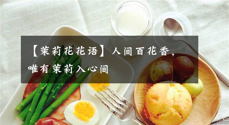 【茉莉花花语】人间百花香，唯有茉莉入心间