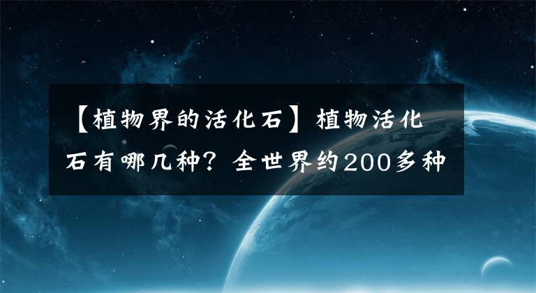 【植物界的活化石】植物活化石有哪几种？全世界约200多种，中国特有8大活化石树种