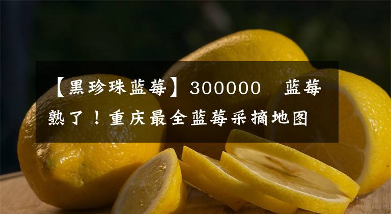 【黑珍珠蓝莓】300000㎡蓝莓熟了！重庆最全蓝莓采摘地图出炉，最快30分钟飙拢