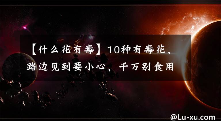 【什么花有毒】10种有毒花，路边见到要小心，千万别食用